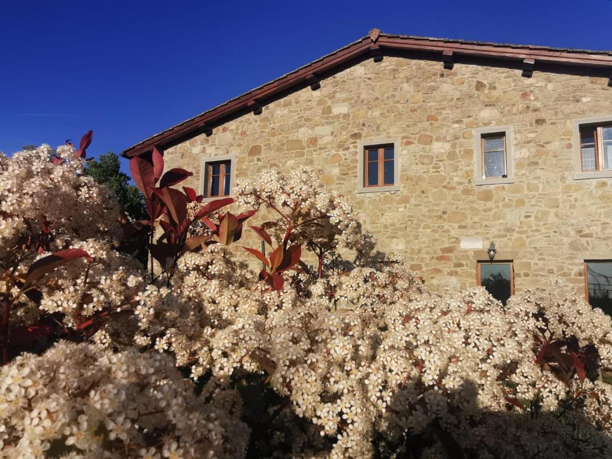 Il Cerro Guest House Pelago Exterior foto