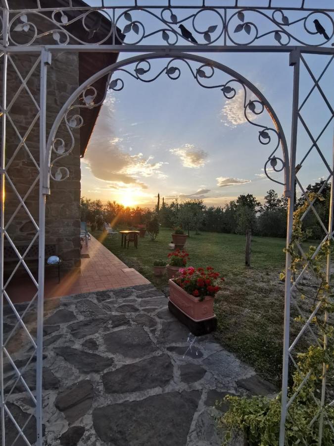 Il Cerro Guest House Pelago Exterior foto