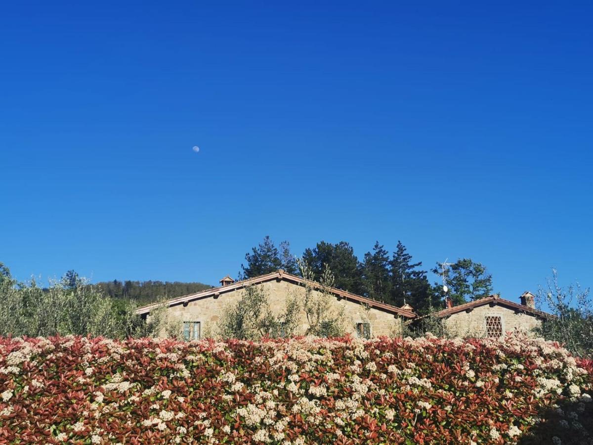 Il Cerro Guest House Pelago Exterior foto